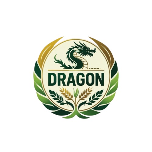 Dragon Logo
